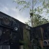 Sonic Bloom